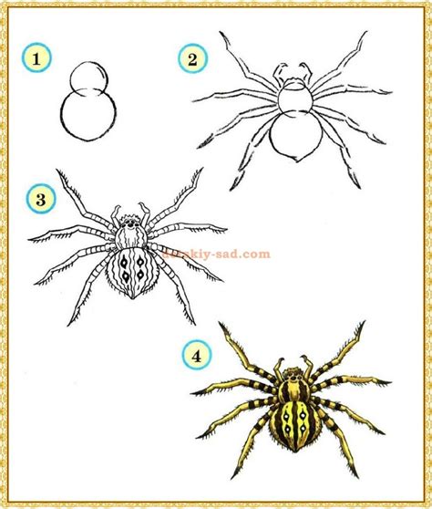 Основные шаги рисования паука