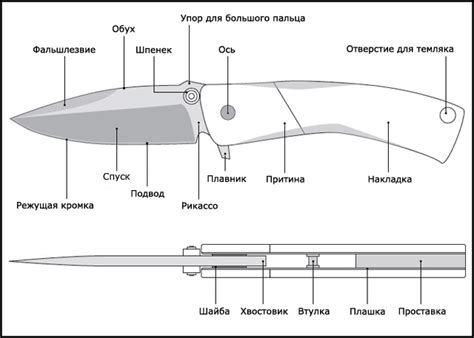 Основные этапы заточки ножей