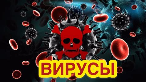 Особенности жизнедеятельности вирусов