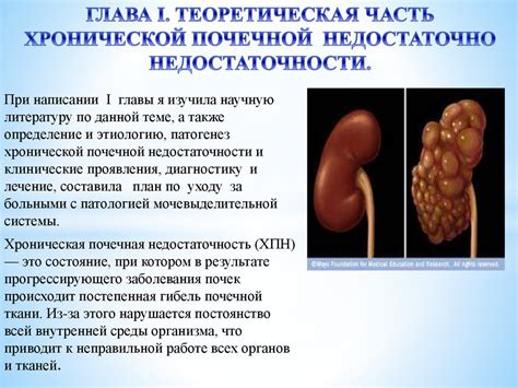 Особенности жизни с почечной недостаточностью