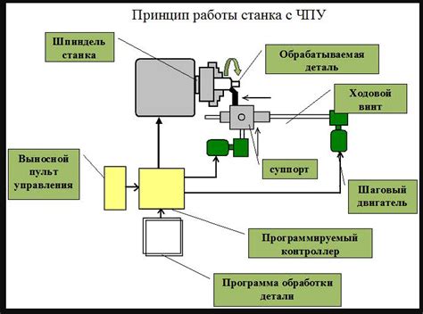 Особенности и принципы работы НИПТ
