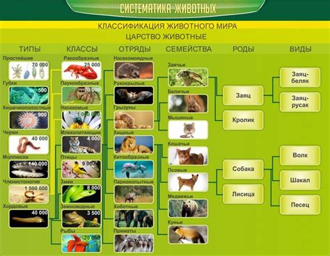 Особенности кроссовинга у разных видов животных