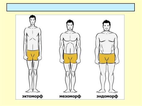 Особенности мезоморфа