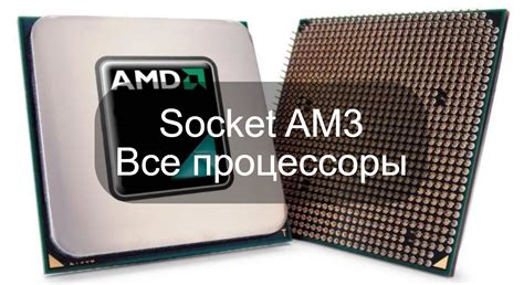 Особенности совместимости и характеристики AM3 и AM3 процессоров