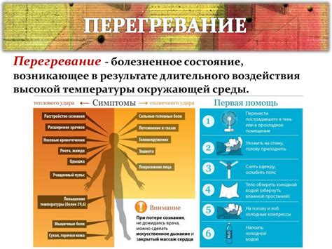 Особенности терморегуляции организма