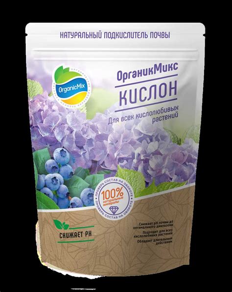 Осторожность при употреблении голубики во время кормления