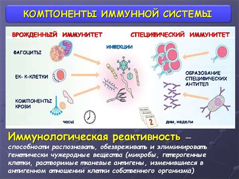 Острое и иммунная система