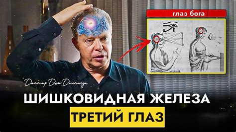Открытие духовного пути благодаря вере