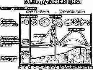 Отсутствие беременности после задержки месячных