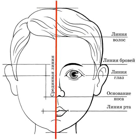 Оформление лица и ушей