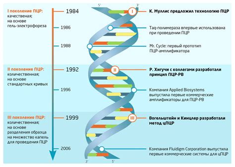 ПЦР-диагностика лямблиоза: