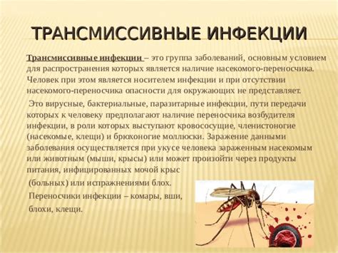 Первоисточник инфекции: человек или сама подушка?