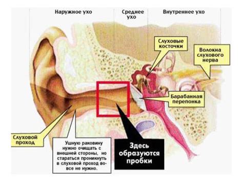 Первые признаки боли в ухе