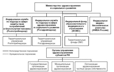 Первые шаги в организации государственной медицины