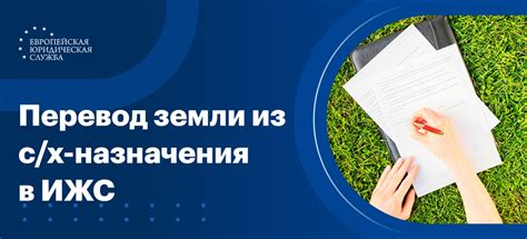 Перевод дачи в ИЖС: основные вопросы и ответы