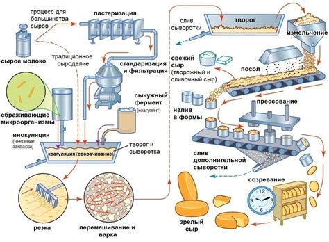 Перегонка и обработка сыра