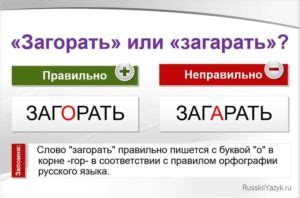 Писать: загорать или загарать?