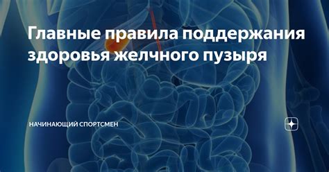 Питание для поддержания работы желчного пузыря