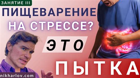 Пищеварение во время спячки