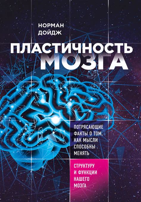 Пластичность мозга: способность к обучению и перераспределению функций