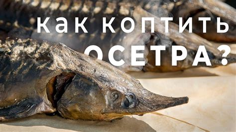 Плюсы и минусы морозения осетрины горячего копчения