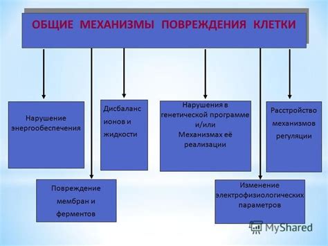 Повреждение механизмов