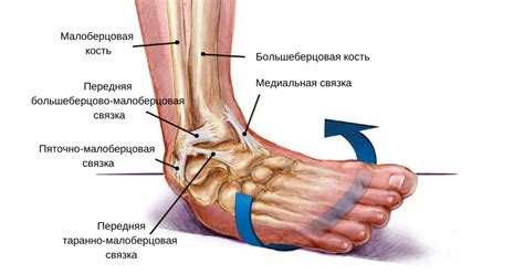 Повреждения стопы и суставов