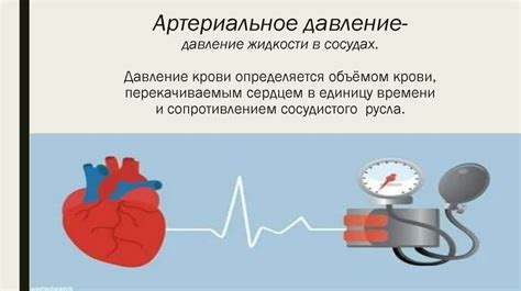 Повышенное артериальное давление и его влияние на вены