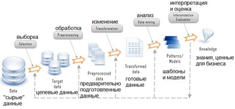 Подготовка и обработка данных для обучения