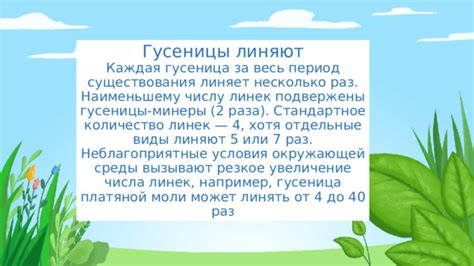 Подготовка необходимой среды для гусеницы