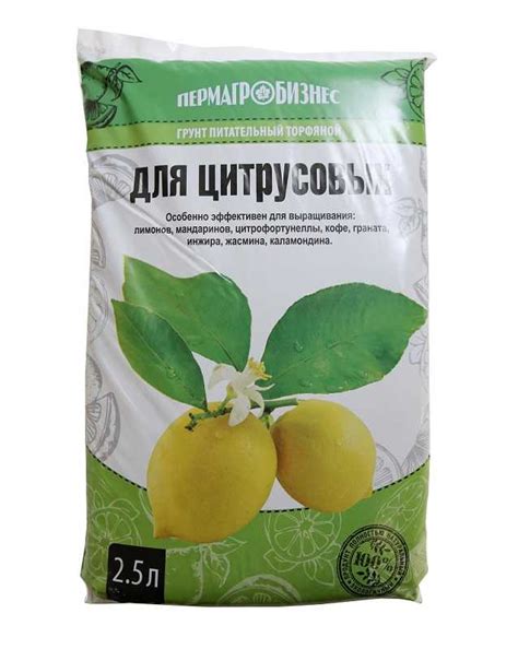 Подготовка почвы и посадка мандарина