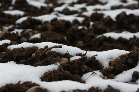 Подготовка почвы к зиме: основные меры