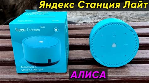 Подготовка устройства к подключению Алисы