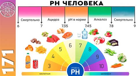 Поддержание pH-баланса организма