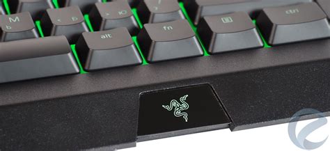 Поддерживаемые цветовые схемы на клавиатуре Razer Cynosa Lite