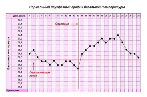 Поднятие базальной температуры: симптомы и причины