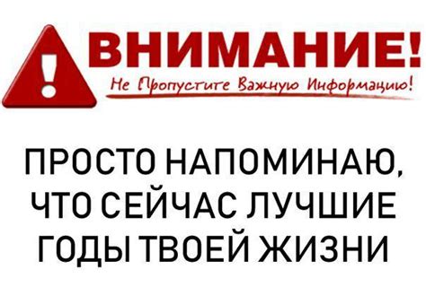 Подписка на новостные рассылки: не пропустите важную информацию