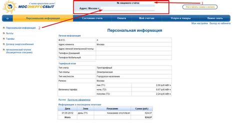 Подробная инструкция по проверке лицевого счета