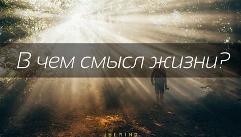 Подумайте о смысле жизни