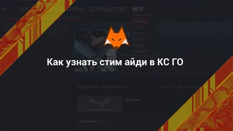 Поиск айди стим в файле конфигурации