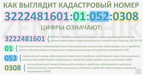 Поиск кадастрового номера участка земли