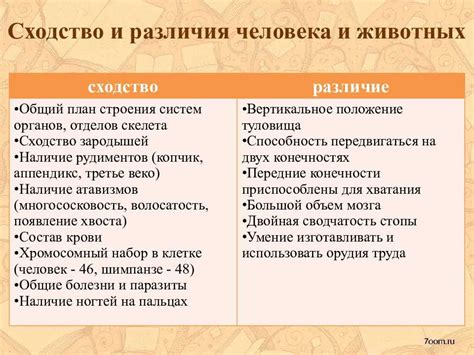 Поколения: различия и сходства