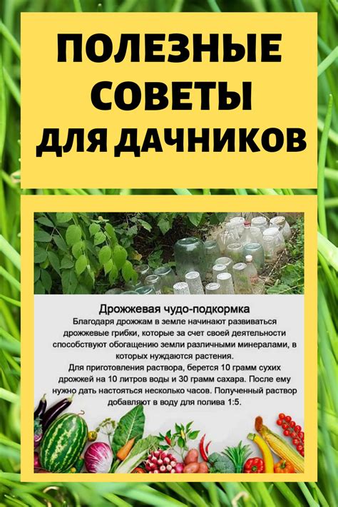 Полезные советы по использованию душа
