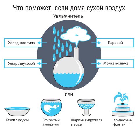 Поливание и влажность воздуха для калл