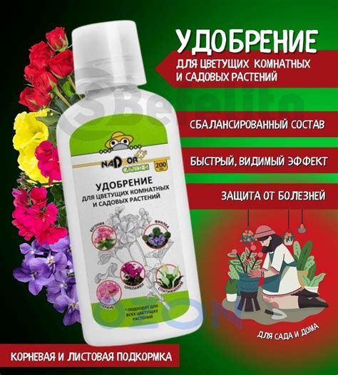 Полив и удобрение домашних цветов осенью