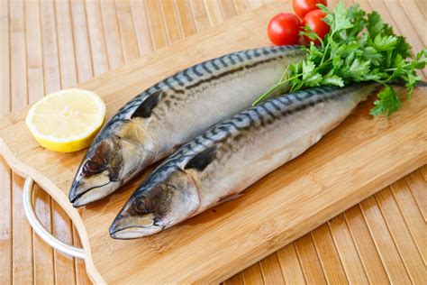 Польза кильки для кошачьего организма