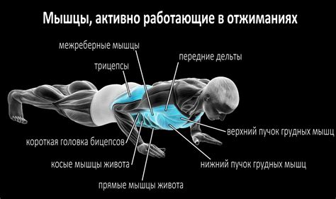 Польза от ежедневной тренировки отжиманиями