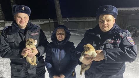 Польза от хранения микроволновки на морозе