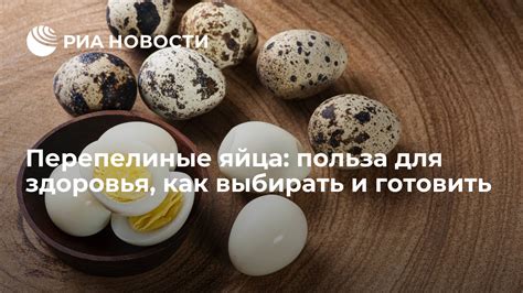 Польза сырого яйца для организма кота