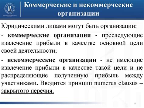 Понимание причин и особенностей горба у бухгалтера